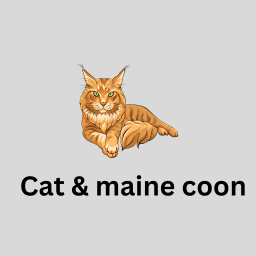 Cat & maine coon