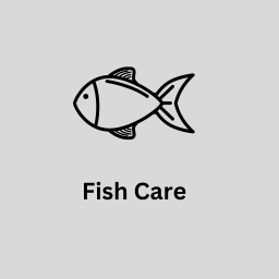 fish care