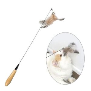 Cat & maine coon Deluxe Wood Handle Feather Cat Teaser - Springy Interactive Cat Toy
