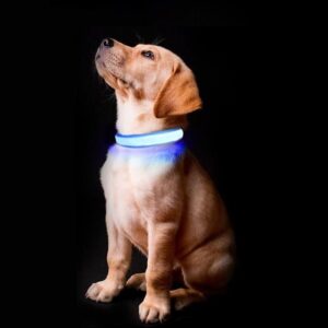 dog accessories LED Safety Dog Collar