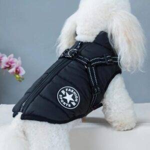 dog accessories Premium Dog Jacket